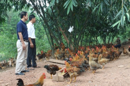 THANH HÓA - BẮC GIANG - LẠNG SƠN - BẰNG TƯỜNG